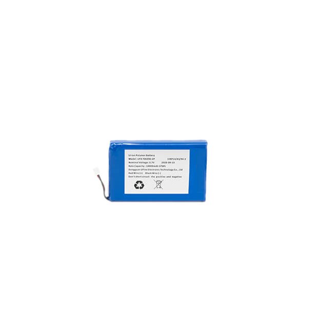 Celerway GO Battery - Blue Wireless Store