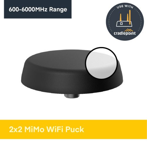 Panorama Low Profile MiMo WiFi Antenna - Blue Wireless Store